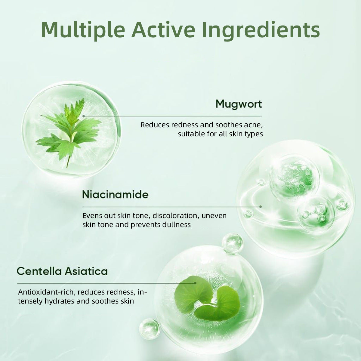 Mugwort